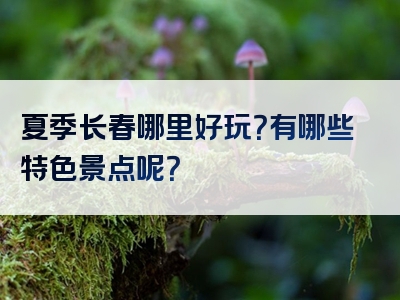 夏季长春哪里好玩？有哪些特色景点呢？