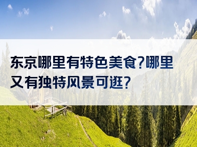 东京哪里有特色美食？哪里又有独特风景可逛？