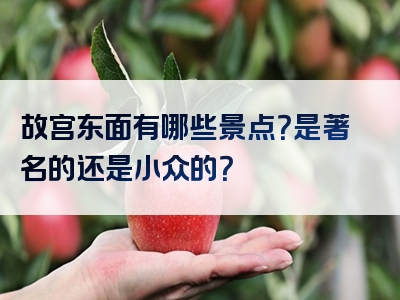 故宫东面有哪些景点？是著名的还是小众的？