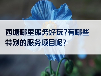 西塘哪里服务好玩？有哪些特别的服务项目呢？