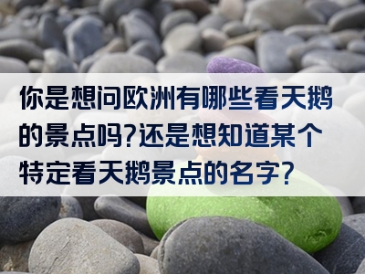 你是想问欧洲有哪些看天鹅的景点吗？还是想知道某个特定看天鹅景点的名字？