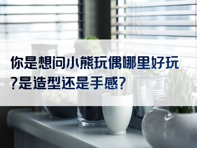 你是想问小熊玩偶哪里好玩？是造型还是手感？