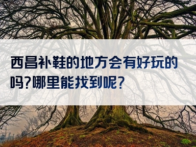 西昌补鞋的地方会有好玩的吗？哪里能找到呢？