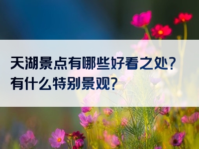 天湖景点有哪些好看之处？有什么特别景观？
