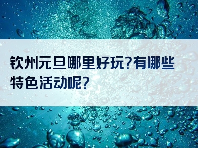 钦州元旦哪里好玩？有哪些特色活动呢？