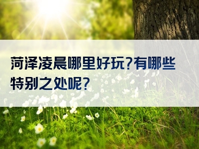 菏泽凌晨哪里好玩？有哪些特别之处呢？