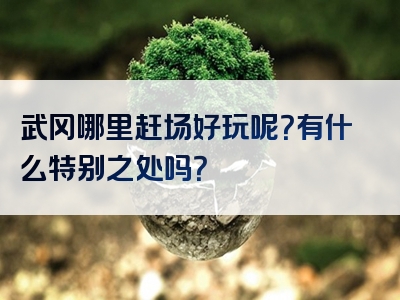 武冈哪里赶场好玩呢？有什么特别之处吗？
