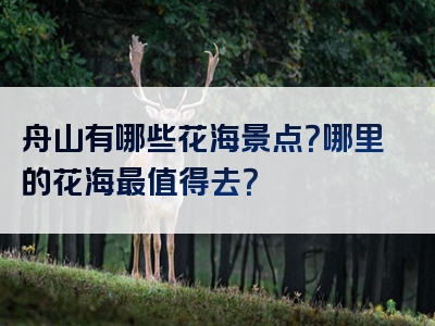 舟山有哪些花海景点？哪里的花海最值得去？