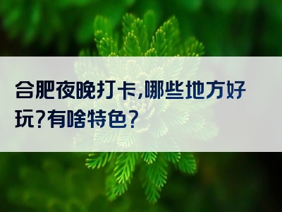 合肥夜晚打卡，哪些地方好玩？有啥特色？