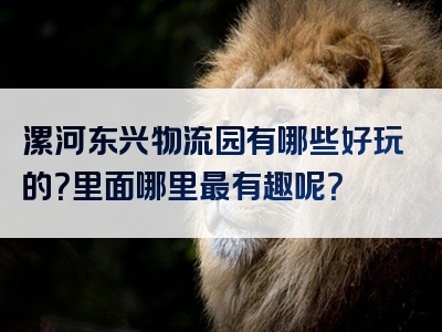 漯河东兴物流园有哪些好玩的？里面哪里最有趣呢？