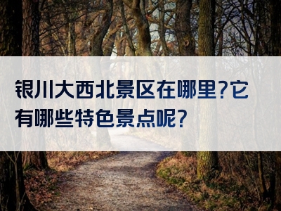 银川大西北景区在哪里？它有哪些特色景点呢？