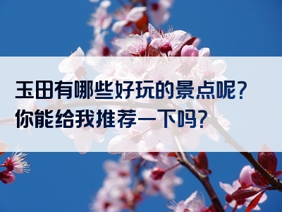 玉田有哪些好玩的景点呢？你能给我推荐一下吗？