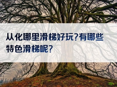 从化哪里滑梯好玩？有哪些特色滑梯呢？