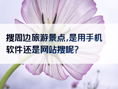 搜周边旅游景点，是用手机软件还是网站搜呢？