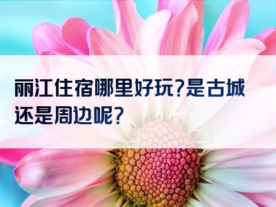 丽江住宿哪里好玩？是古城还是周边呢？