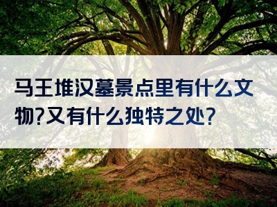 马王堆汉墓景点里有什么文物？又有什么独特之处？