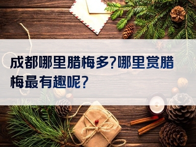 成都哪里腊梅多？哪里赏腊梅最有趣呢？