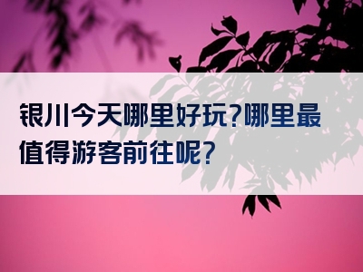 银川今天哪里好玩？哪里最值得游客前往呢？