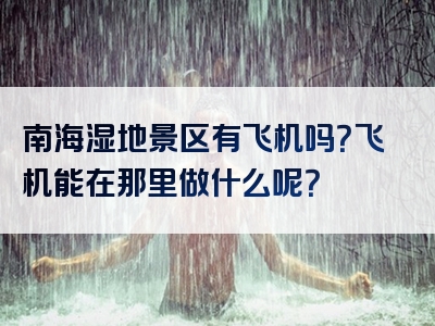南海湿地景区有飞机吗？飞机能在那里做什么呢？