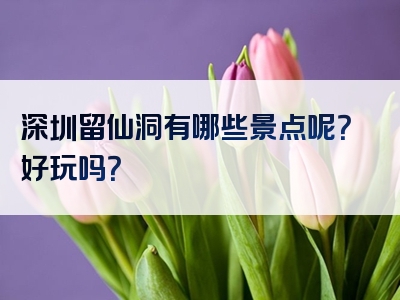 深圳留仙洞有哪些景点呢？好玩吗？