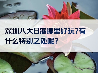 深圳八大日落哪里好玩？有什么特别之处呢？
