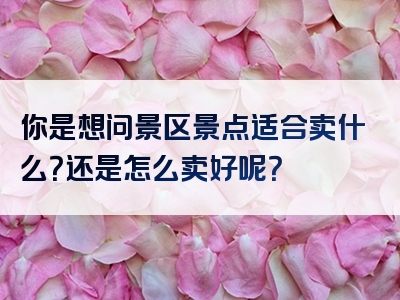 你是想问景区景点适合卖什么？还是怎么卖好呢？