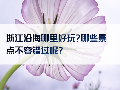 浙江沿海哪里好玩？哪些景点不容错过呢？