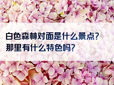 白色森林对面是什么景点？那里有什么特色吗？