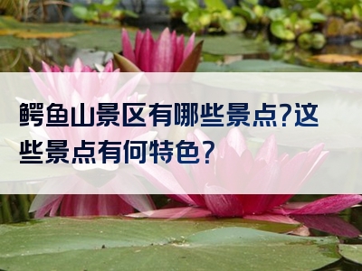 鳄鱼山景区有哪些景点？这些景点有何特色？