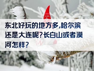 东北好玩的地方多，哈尔滨还是大连呢？长白山或者漠河怎样？