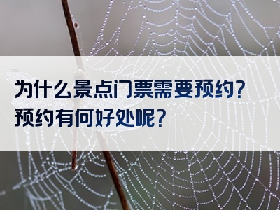 为什么景点门票需要预约？预约有何好处呢？
