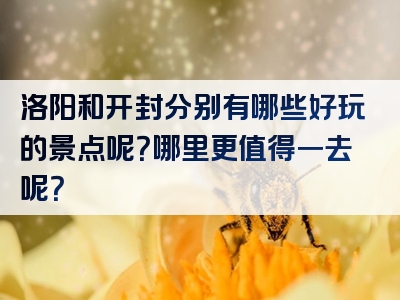 洛阳和开封分别有哪些好玩的景点呢？哪里更值得一去呢？