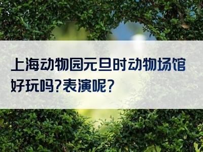 上海动物园元旦时动物场馆好玩吗？表演呢？