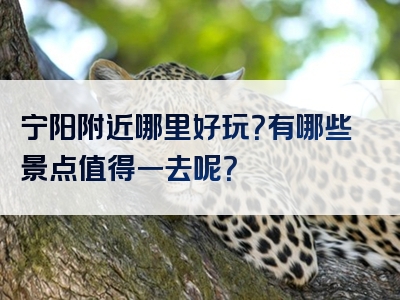 宁阳附近哪里好玩？有哪些景点值得一去呢？