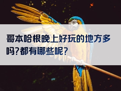 哥本哈根晚上好玩的地方多吗？都有哪些呢？