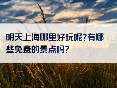 明天上海哪里好玩呢？有哪些免费的景点吗？