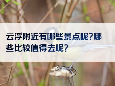 云浮附近有哪些景点呢？哪些比较值得去呢？