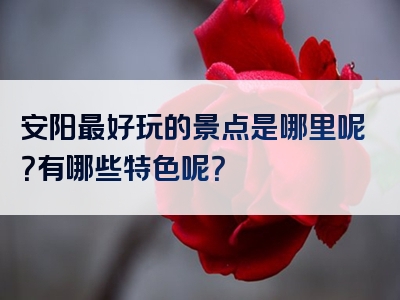 安阳最好玩的景点是哪里呢？有哪些特色呢？