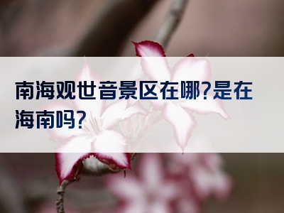 南海观世音景区在哪？是在海南吗？