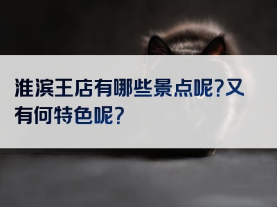 淮滨王店有哪些景点呢？又有何特色呢？