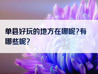 单县好玩的地方在哪呢？有哪些呢？