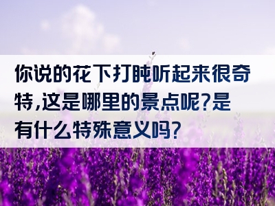 你说的花下打盹听起来很奇特，这是哪里的景点呢？是有什么特殊意义吗？