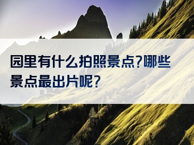 园里有什么拍照景点？哪些景点最出片呢？