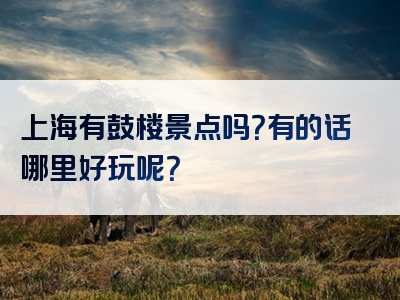 上海有鼓楼景点吗？有的话哪里好玩呢？