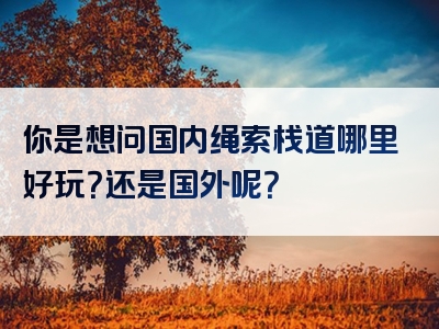 你是想问国内绳索栈道哪里好玩？还是国外呢？