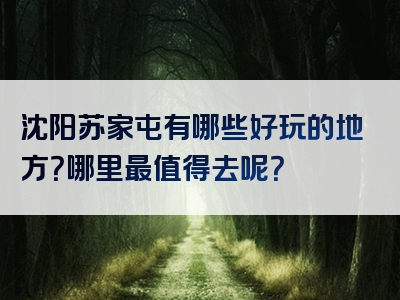 沈阳苏家屯有哪些好玩的地方？哪里最值得去呢？