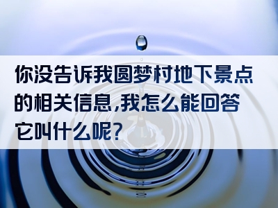 你没告诉我圆梦村地下景点的相关信息，我怎么能回答它叫什么呢？