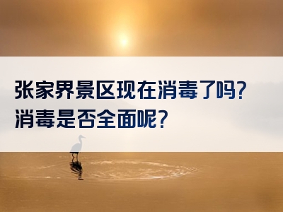 张家界景区现在消毒了吗？消毒是否全面呢？