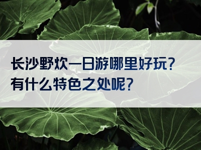 长沙野炊一日游哪里好玩？有什么特色之处呢？