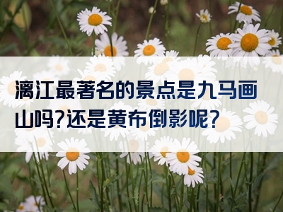 漓江最著名的景点是九马画山吗？还是黄布倒影呢？